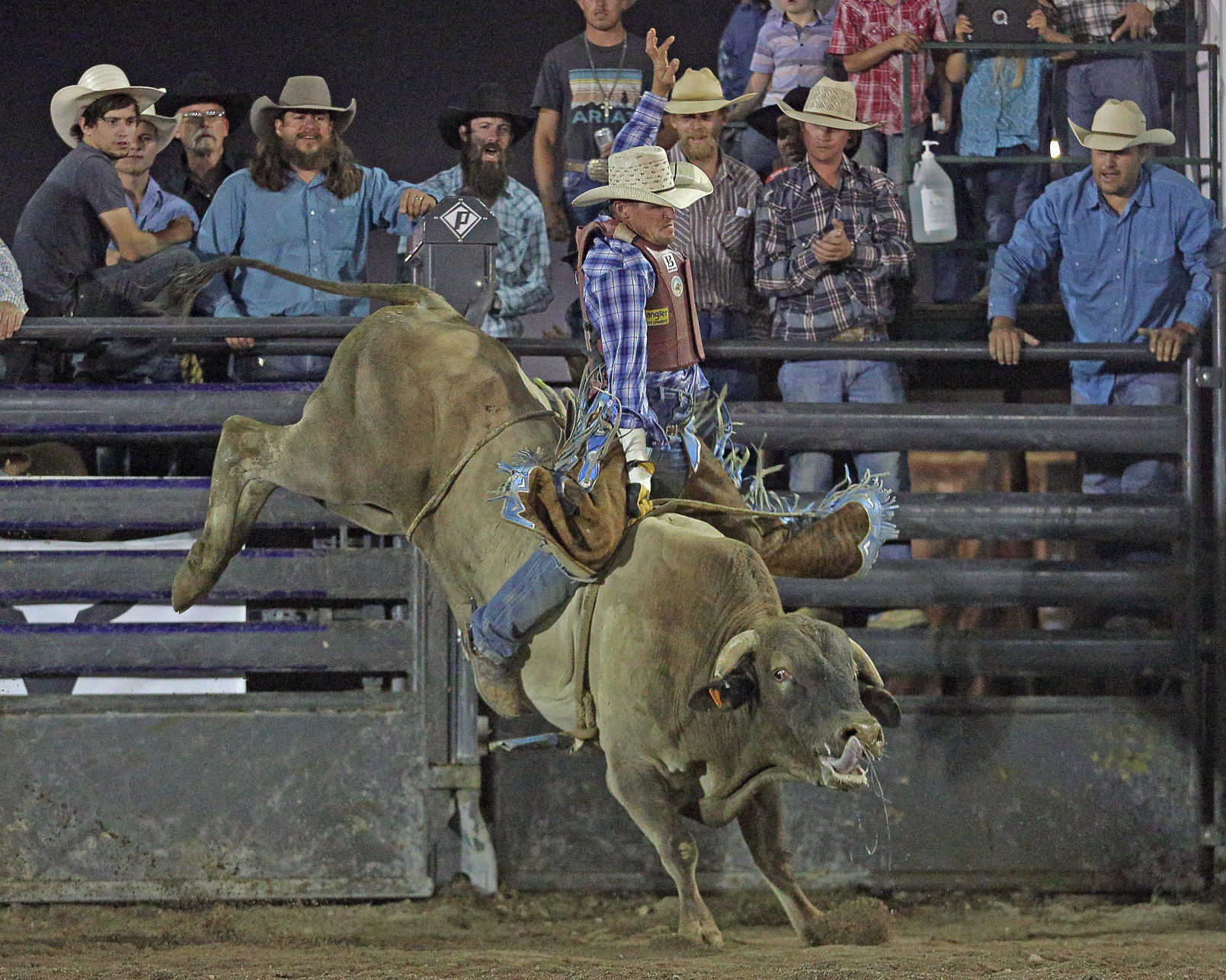 091520-elk-spt-gold-rush-shane-adams.jpg